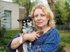 ¿Un cruel envenenador de perros está apuntando a los elegantes cachorros de Kensington y Chelsea?