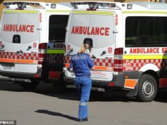 Terror: Un hombre muere al caerle encima 300 kg de vidrio en Dural