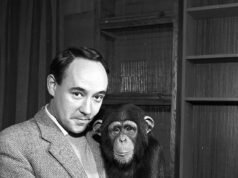 Muere el zoólogo y presentador de televisión Desmond Morris a los 98 años: homenaje a la estrella que tuvo “una vida de exploración, curiosidad y creatividad”