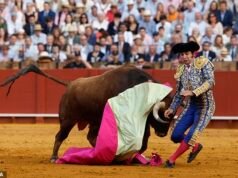 ¡Sangre, maldita sea! Toro ataca a un matador español en un lugar MUY doloroso