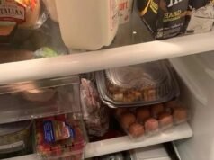 La exasperante foto de un gato escondido en un refrigerador hace que la gente se pregunte: ¿Puedes detectar al felino en 30 segundos?