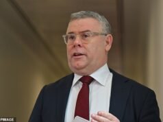 “No se pueden descartar cancelaciones de vuelos en Australia”, advierte el gobierno albanés mientras la crisis se prolonga