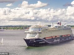 Un niño de dos años lucha por su vida tras caer a metros de un crucero