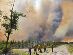 Los incendios forestales están asolando Florida y Georgia, matando al menos a una casa y destruyendo más de 120, uno de ellos provocado por un globo de aluminio que golpeó líneas eléctricas.