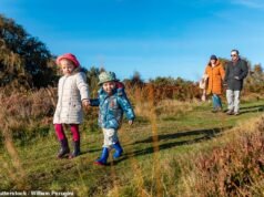 El consejo de un experto en crianza sobre cómo “construir su aldea”, ya que un nuevo estudio revela que más de una décima parte de los padres no tienen apoyo