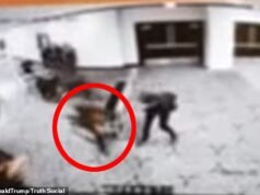 Momento desgarrador en el que el pistolero Cole Tomas Allen irrumpe en la seguridad de la cena de corresponsales de la Casa Blanca