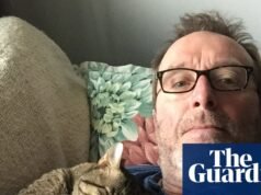 La mascota que nunca olvidaré: Benny el gato, que se metió en mi bolsa de compras y luego compartió mis baños | gatos