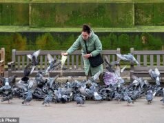 Dar de comer a los pájaros, recoger moras y recoger piedras se encuentran entre las actividades cotidianas prohibidas por los ayuntamientos acusados de haber “abusado” de sus amplios poderes.