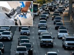 El grupo comercial de fabricantes de automóviles insta al gobierno a eliminar el impuesto a la gasolina y reemplazarlo con un impuesto al peso de los vehículos