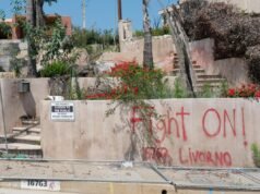 Los vándalos alcanzan un nuevo mínimo en Palisades