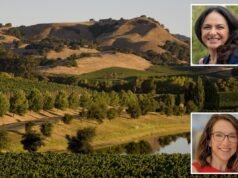 Napa Valley presenta un plan de 6,4 millones de dólares para salvar una región vinícola diezmada