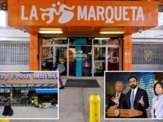 La tienda de comestibles de Zohrna Mamdani, administrada en Nueva York, competiría con los supermercados YA asequibles de Harlem.