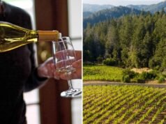Agitación en Wine Country mientras los líderes de Napa lanzan un cambio importante