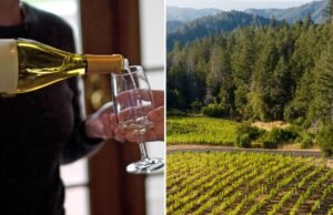 Agitación en Wine Country mientras los líderes de Napa lanzan un cambio importante