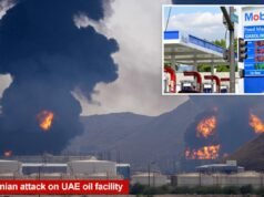 Cómo la impactante salida de los Emiratos Árabes Unidos de la OPEP podría reducir los precios del gas