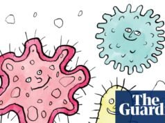 ¿Es cierto que… tener un microbioma diverso evita que enfermes? | Salud y bienestar