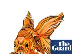 ¿Puede oler el pescado y qué significa realmente el meme seis-siete? El cuestionario para niños | Familia