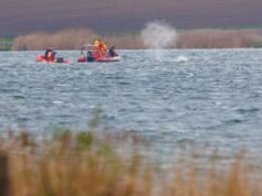 La saga de las ballenas en Alemania continúa mientras los animales nadan libres y luego se detiene nuevamente