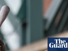 La inauguración de la estatua de Ichiro Suzuki sale mal cuando un murciélago de bronce se rompe durante la ceremonia | Marineros de Seattle