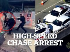 Momento dramático: oficiales de Strike Force Raptor arrestan a un sospechoso en una carretera muy transitada después de una caótica persecución de autos