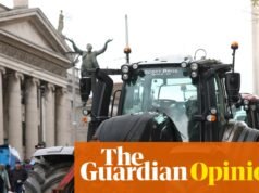 En las calles de Dublín me encontré con manifestantes del combustible y con la gente que los apoya, pero nuestros líderes aún no lo entienden | Caelainn Hogan