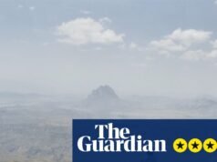 En busca de Satyrus Review: en busca de una mariposa esquiva y el lepidopterista que la nombró | Película