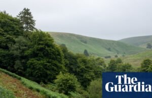 Mi amigo y yo vimos un gran felino en Exmoor en 1982 | animales