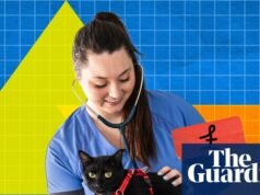 ¿Por qué los veterinarios cobran más por escanear a un animal que un hospital privado por escanear a un humano? | Mascotas