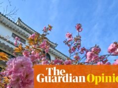 La visión de The Guardian sobre los cerezos en flor de Japón: cuando la primavera se escapa del tiempo | Editorial