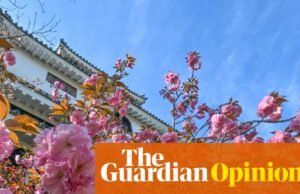 La visión de The Guardian sobre los cerezos en flor de Japón: cuando la primavera se escapa del tiempo | Editorial