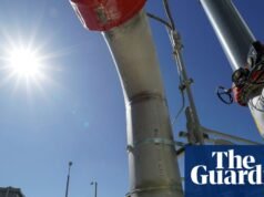 Por qué el biometano no es la solución a los problemas de suministro de gas de Gran Bretaña | Biocombustibles