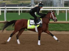 Kentucky Derby 2026: ¿Cuándo es la carrera? Además de la hora de inicio, las posiciones de las publicaciones, el tono y todo lo que necesitas saber.