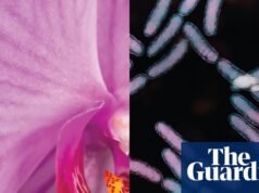 La cultura del bienestar intenta venderte productos que tu vagina no necesita | Bueno, en realidad