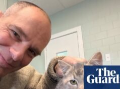 El animal que nunca olvidaré: Chilly, el gatito que salvé de morir congelado | gatos