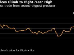 Los precios del pistacho alcanzaron su nivel más alto en ocho años debido a la guerra en Irán, un importante productor