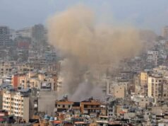 La OTAN resulta ser un tigre de papel: cartas