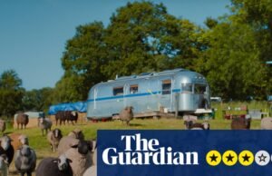 Revisión de The Sheep Detectives: Hugh Jackman regala un rebaño en una loca y acogedora aventura criminal | Película