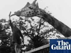 Desde camellos hasta cocodrilos, los primeros veterinarios del zoológico tuvieron que aprender en el trabajo | Medicina veterinaria