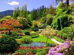 La otrora próspera cantera de piedra caliza de Canadá es ahora un jardín de fama mundial con infinitas e impresionantes flores.