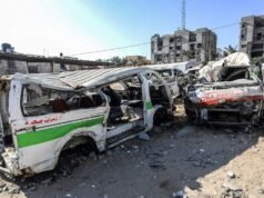 Roedores y parásitos asolan a los desplazados en la Franja de Gaza