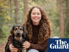 La mascota que nunca olvidaré: Paddington, el perro callejero peruano que rugía como un oso | vida y estilo