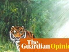 ¿Qué hace la Sociedad Zoológica de Londres? Después de 200 años, la respuesta sigue siendo “todo” | Martín Rowson