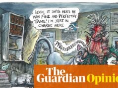 Martin Rowson sobre la controversia sobre el control de Mandelson – caricatura