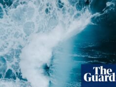 El destino de las corrientes oceánicas críticas está en nuestras manos | Crisis climática