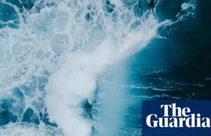 El destino de las corrientes oceánicas críticas está en nuestras manos | Crisis climática