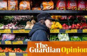 No haría falta una guerra para que Gran Bretaña despierte a la necesidad de seguridad alimentaria | Tim Lang