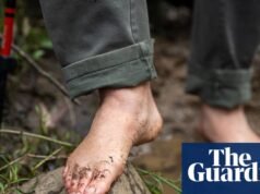 El improbable atractivo de caminar descalzo: “Te hace sentir bastante primitivo” | estilo de vida australiano