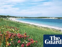 Escocia en flor: las flores silvestres transforman las Hébridas Exteriores en un sueño en tecnicolor | Vacaciones en Escocia