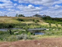 El Canadian Heritage Park, repleto de bisontes, es un pintoresco destino de senderismo lleno de historia indígena