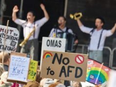 Los alemanes piden al Tribunal Supremo que revise y evalúe las prohibiciones de los partidos de extrema derecha